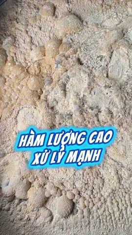 Em gốc - men vi sinh đông khô với công nghệ sấy lạnh giúp lưu giữ hàm lượng vi sinh sống cao cho hiệu quả xử lý rệch, xử lý hữu cơ, ép khuẩn hại, tạo màu nước, ổn định môi trường #visinhgiare #menvisinh #lamsachnuoc #thuysanbenvung247 #emgoc  @Kiều Anh- Thuỷ Sản 