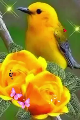 #صباح_الخير #اذكار_الصباح #صباحكم_معطر_بذكر_الله #صباحكم_أحلى_صباح 