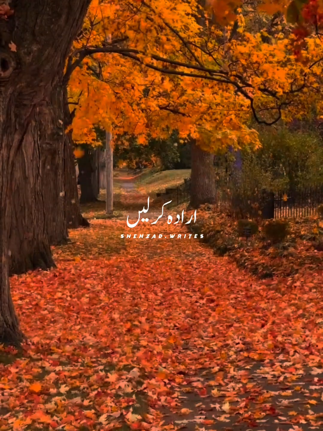 drd o gam mil ke sehein gey🥰#music #song #lyrics #usatiktok #foryoupage 