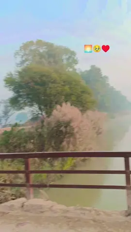 🥹🌷🤌🏻#Malakwall 