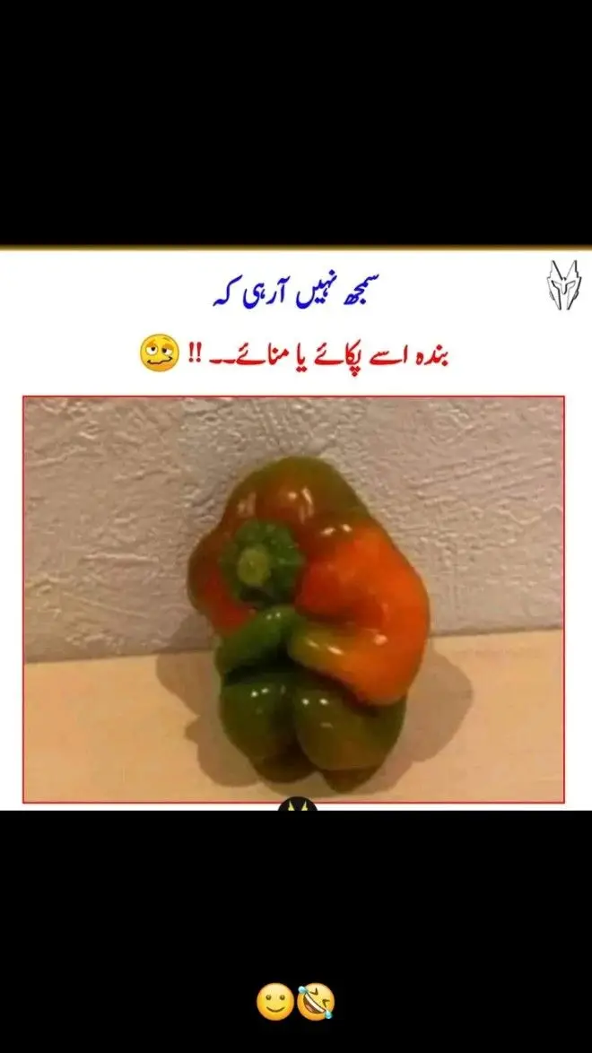 😂😃#creatorsearchinsights 