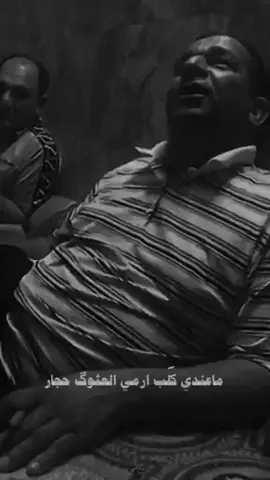 سمير صبيح: ماعندي كلب ارمي العثوك احجار #سمير_صبيح #basra #القرنه #pyf 