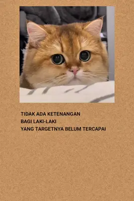 #katakatasedih #katakatabijak #fyp #viral #laguindia 