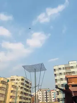 champion kobutor landing  35km open side sijen intec champion rafikul kaka