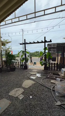 #caigui #bảolâm #hanhtrinhkhoinghiepcuatoi #launuongbaolam #baoloc 