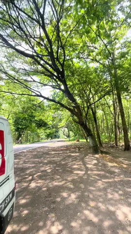 Jan seeezzzz tanggapan kemana mana 🤣