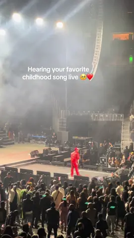 So moved that I genuinely decided to stfu and just listen to him sing 🥹                                       #davido #aye #5alivetour #statefarmarena 