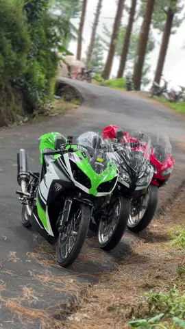 💚🤍❤️ #250ykstyle 