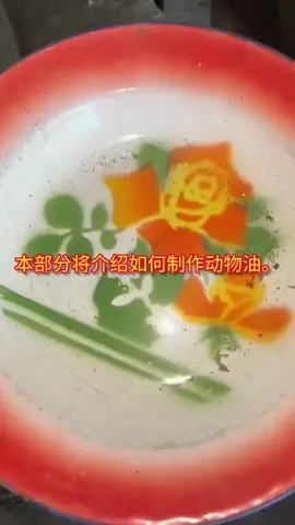 #vlag #life #chinesefood #biao #mrbiao 