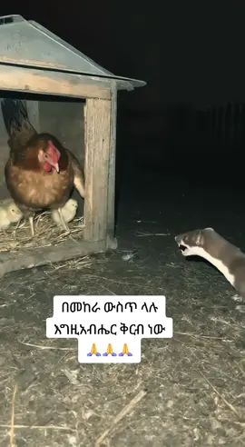 BE_STRONG🦸‍♂️ #የሚጠብቀኝ_አይተኛም#orthodox🙏🙏🙏🙏🙏🙏🙏🙏🙏🙏🙏🙏 