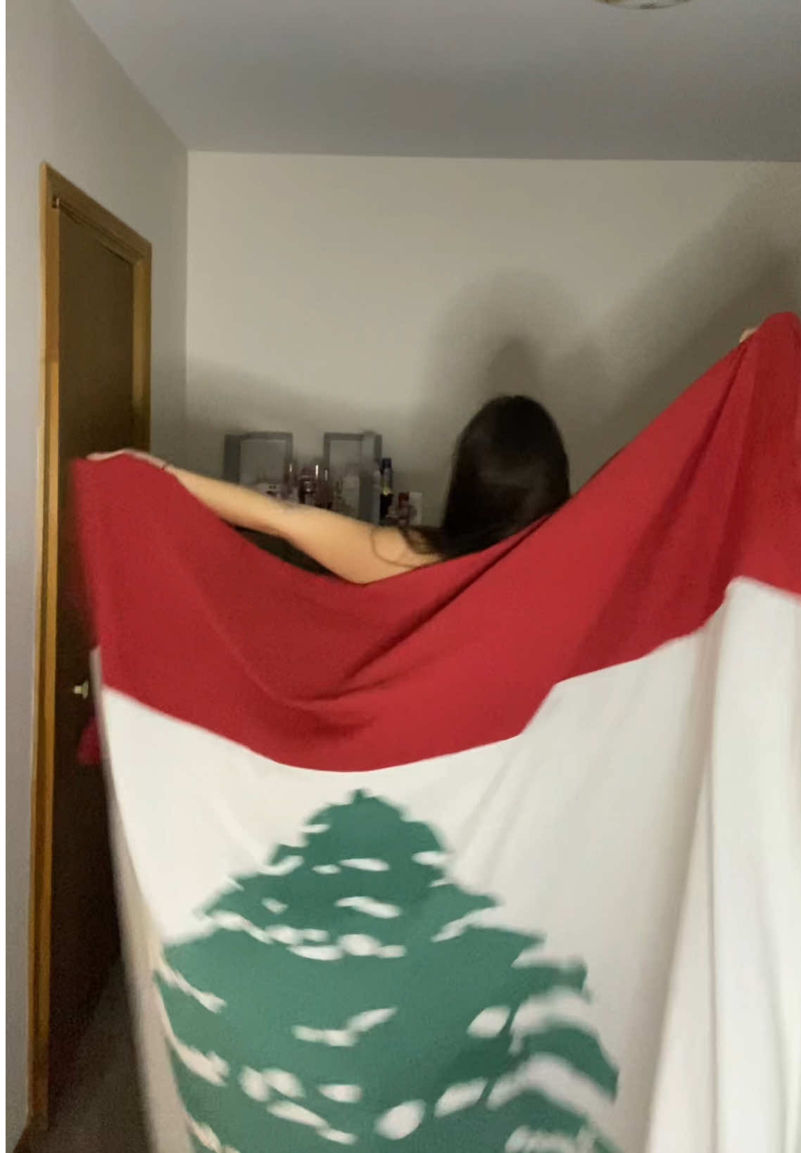 “If Lebanon wasn’t my country I would have chosen it to be” - Khalil Gebran 