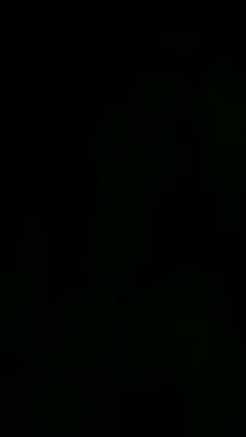 •Cantik kek gini di bilang Kunti ijo😍😅 #btth #xuner #jjdonghua  #margawang #donghuaedit 