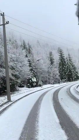 #viral #fyp #Natyra #albania 