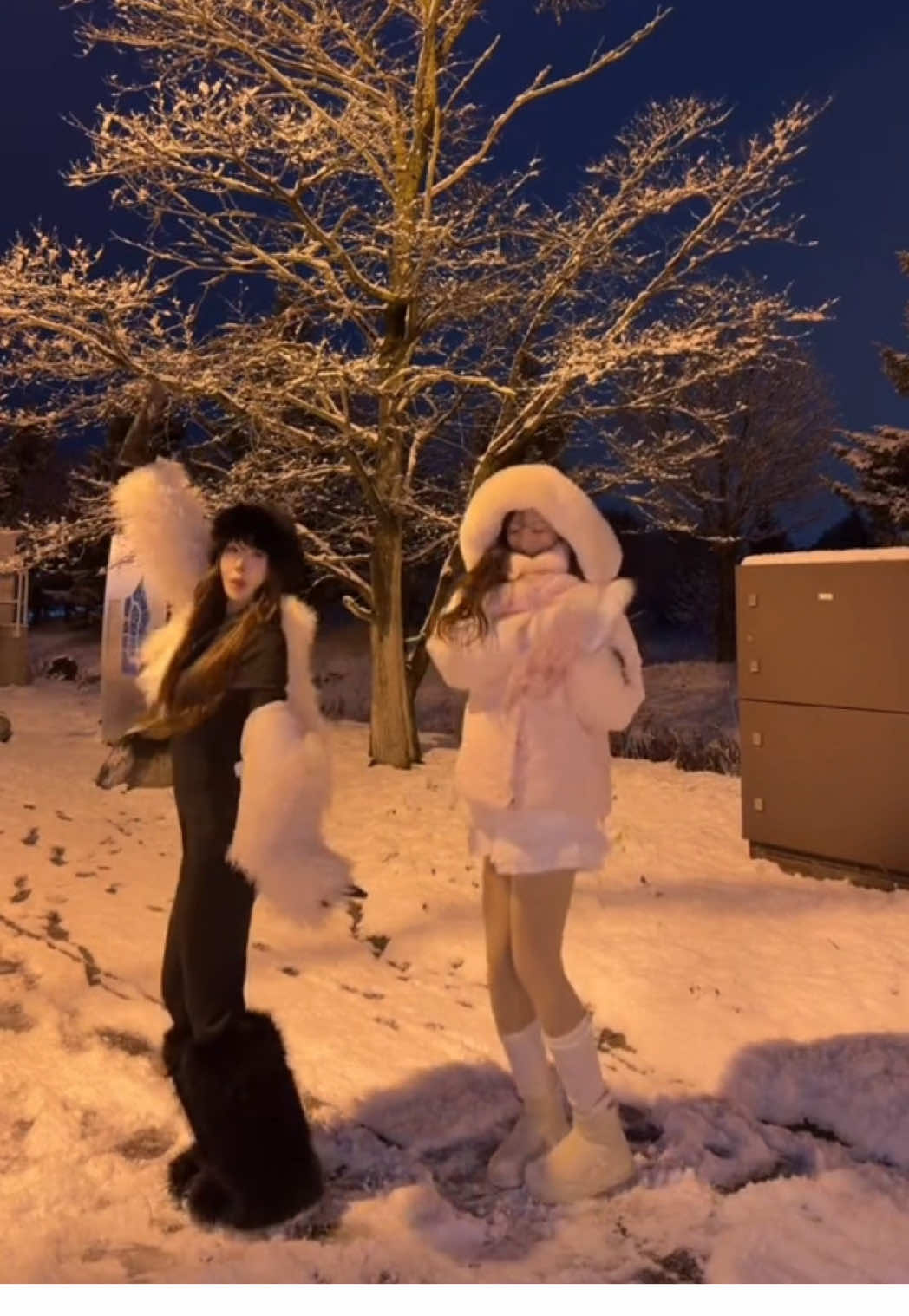 友達と過ごすクリスマスとか久々で楽しみすぎ。彼氏いなくても幸せな冬ありがとう( ᵒ̴̶̷̤◦ᵒ̴̶̷̤ ) #fyp #北海道 #Hokkaido #雪 #dance 