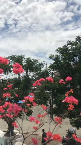 nu ngabengharken jelema tea gusti Allah, anu nyusahken jelema oge gusti Allah. eweh urusan jeng masalah ibadah atau teu ibadah. urusan ibadah ma atu ibadah urusan benghar jeng susah ma atu lain dei. jd te bisa di kaitken. mun di kaitken tea ma jelema nu getol kana ibadah nyaeta jelema nu pang benghar na. sedangkan jelema nu tilok ibadah berarti jelema nu susah jasa. jd te bisa dikaitken. ibadah ma ibadah, rezeki ma rezeki.  (abah entoh, tina kitab Tafsir Jalalain-23 nov 2025) #viraltiktok #alistiqlaliyahcilongok #fyp #ngajidiri #kitabtafsirjalalain 