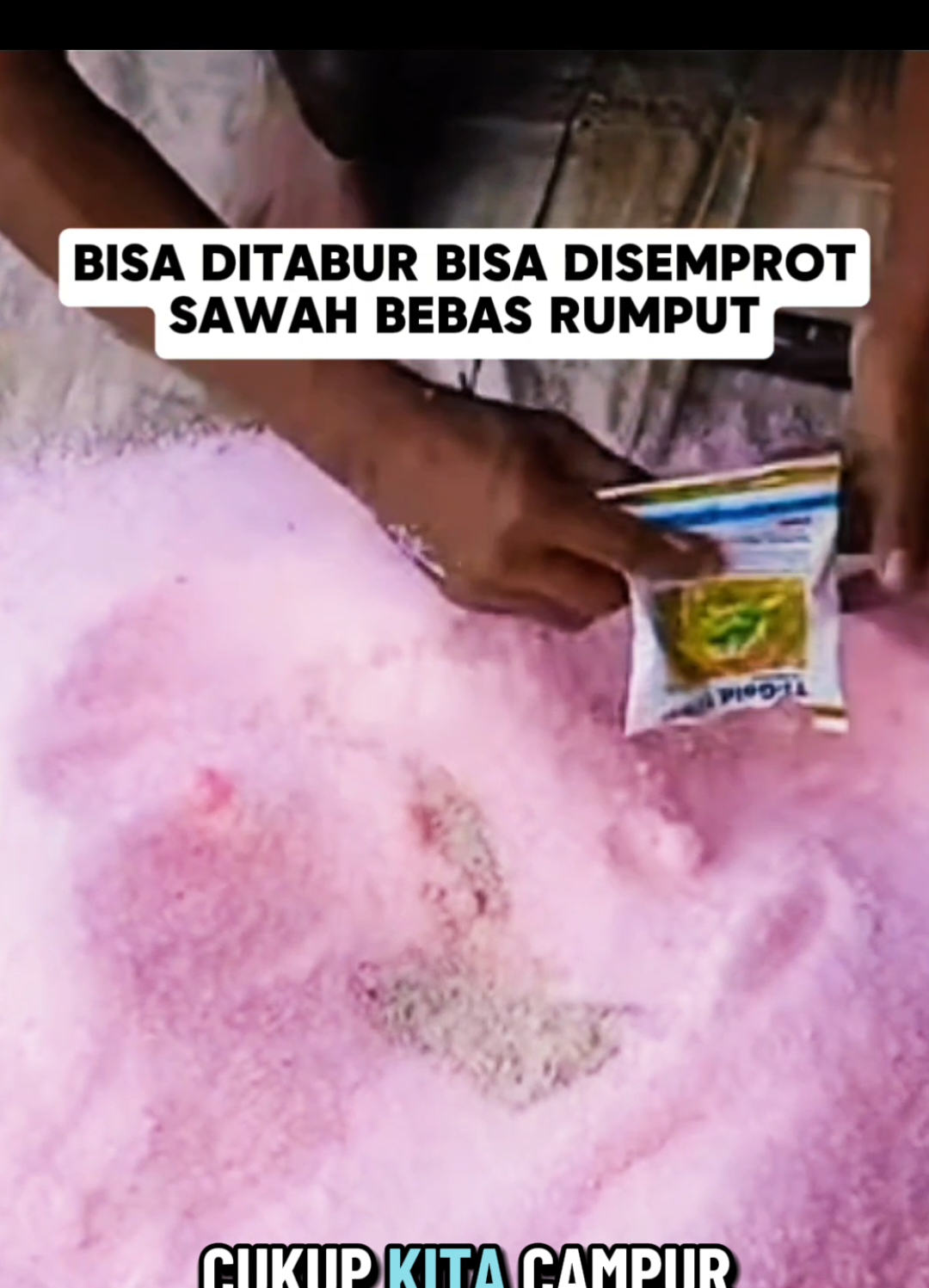 cara mencegah agar rumput tidak tumbuh di sawah menggunakan obat pembeku biji herbisida tigold harga murah biji rumput hancur tanaman bebas rumput sampai panen #obatpembekubiji #petaniindonesia🇮🇩🇮🇩🇮🇩🌿🌿 #pupukorganikterbaik #lumagro #creatorsearchinsights 