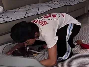 Con chó này #cortis #fyp #joke #j4fun @CORTIS 