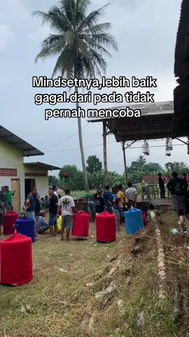 #fyp#muraibatu#kicaumaniaindonesia#storykicaumania#gantanganmurai 