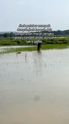 #katakatamotivasi #madura #prede    #madura #fppppppppppppppppppp 