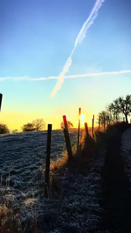 Totensonntag Was bleibt ist die Erinnerung… Die Erinnerung an einen Menschen geht nie verloren, wenn man ihn im Herzen behält. 🫶.                   #totensonntag🕯️ #zitate #natur #sonnenaufgang #seelenfrieden 
