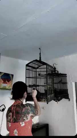 Lakok gayeng #CapCut 