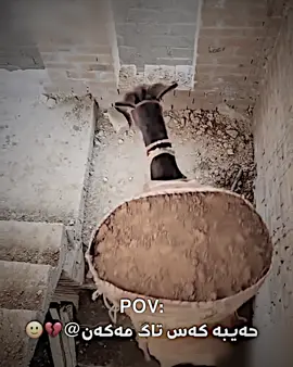 🙂😂#mstafa_editoor #mstafa_editor🔥 