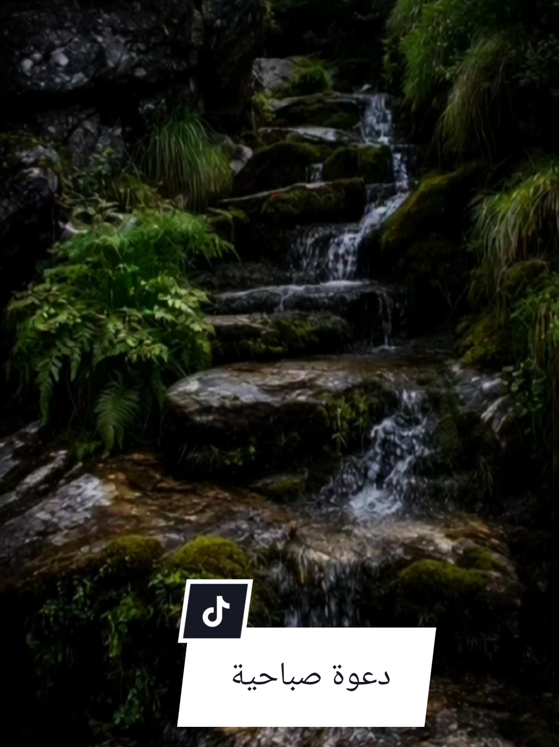 دعوة صباحية  #capcut  #المشاهدات  #الشعب_الصيني_ماله_حل😂😂  #fypシ   #CapCut  