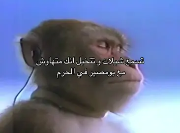 #fttttttttttttttttttttttttttttttytp #exblor #اكسبلورexpl 