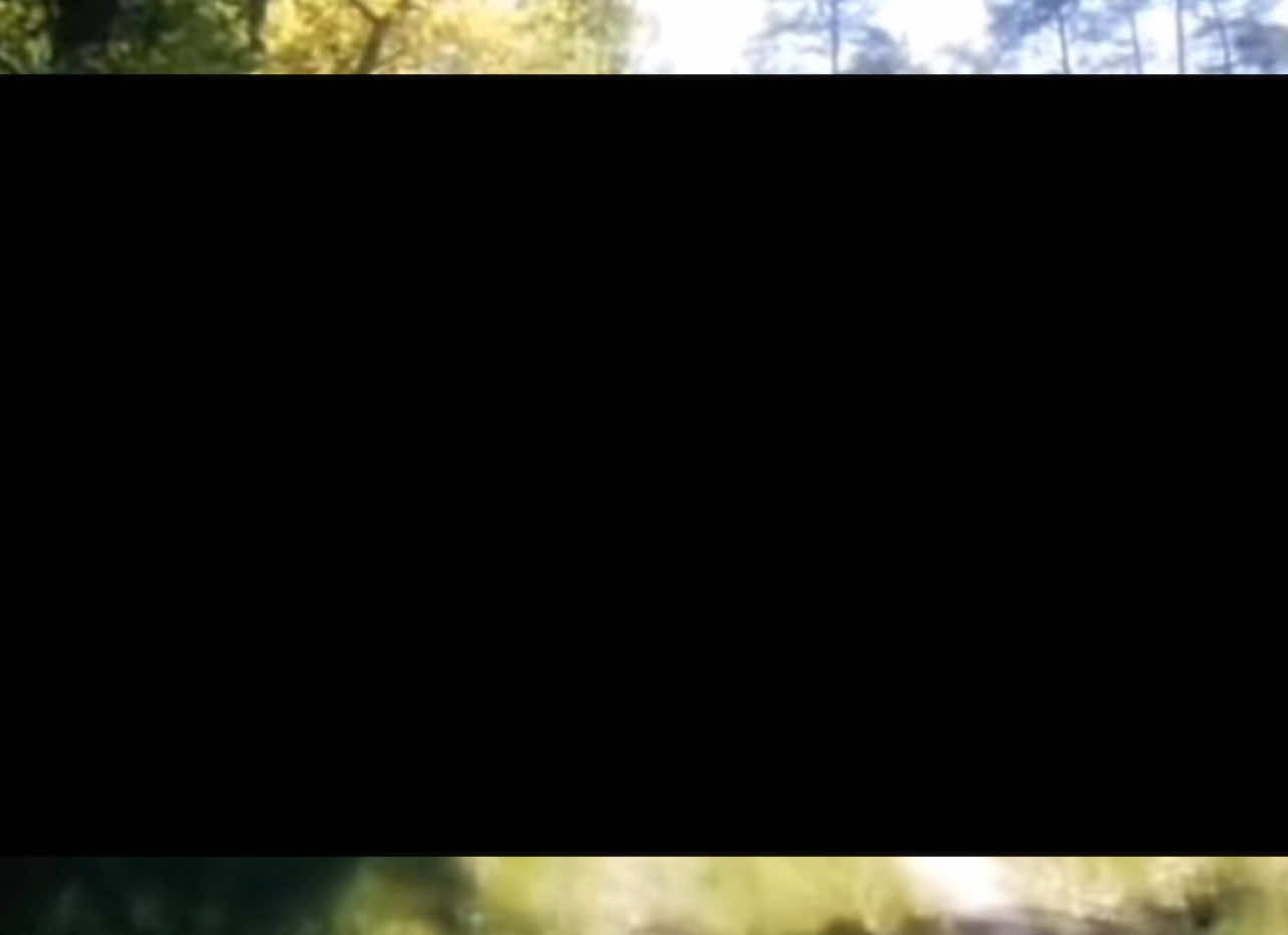 im going off topic #fyp #shitpost 