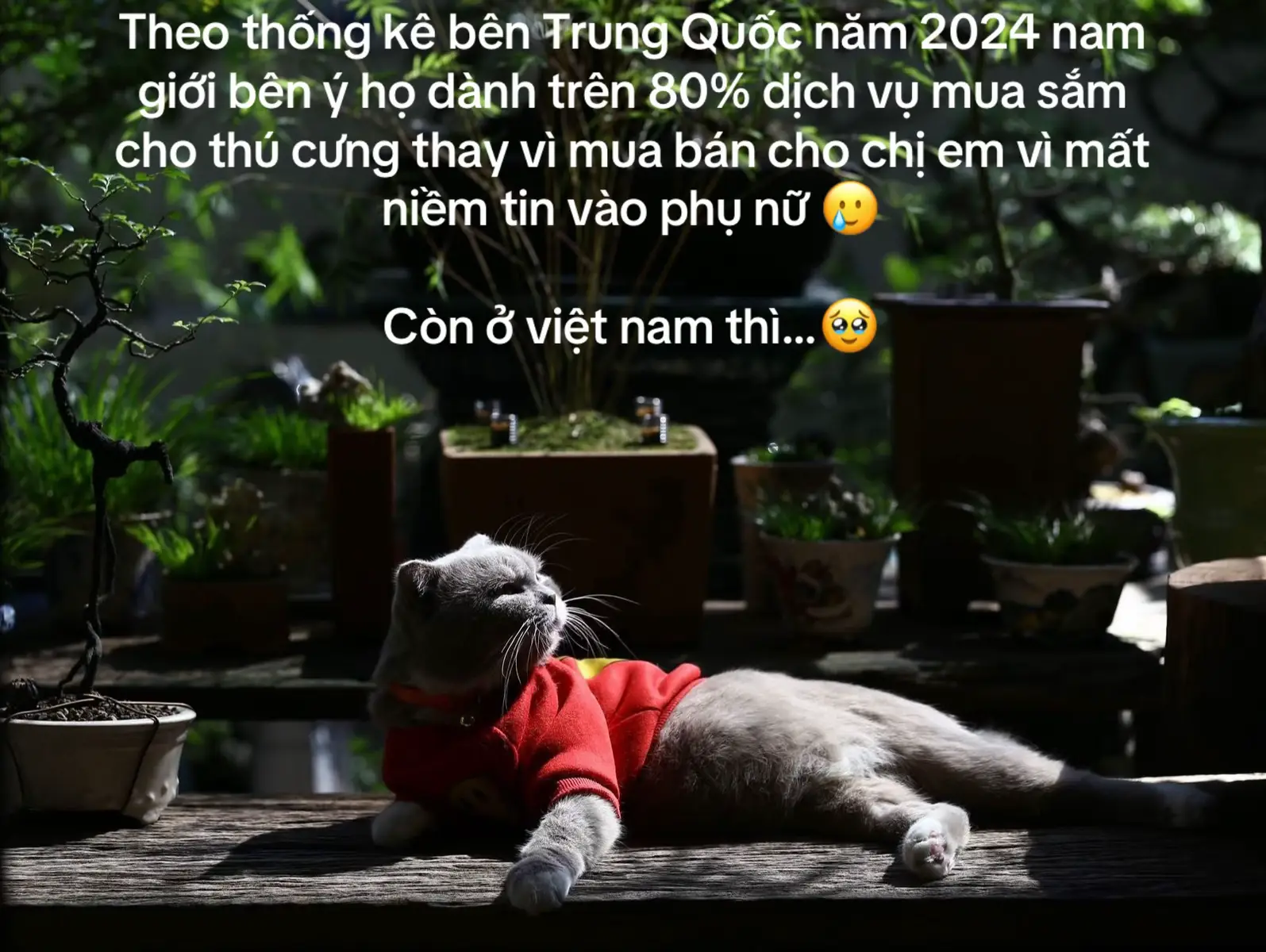 🥺#capcut #xuhuong #tramcamxuc💔 #lyrics 