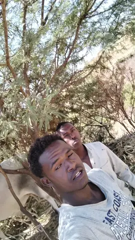 #follow #Repost #foryoupage #viralvideos @𝙅𝙞𝙧𝙚𝙚𝙣𝙮𝙞 𝙌𝙤𝙧𝙢aata @💦𝑩𝒊𝒍ä𝒍🐐𝑴Ì𝑬ŠÖ 🚫 Ğ 🚫 