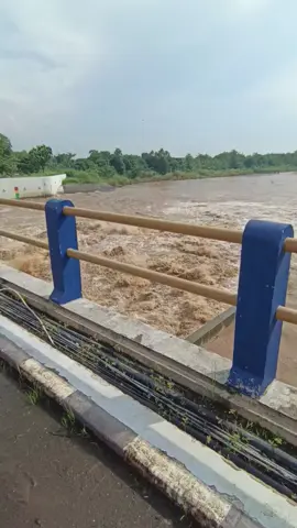 Bendungan rentang berfungsi untuk mengatur aliran air sungai cimanuk guna keperluan irigasi dan pengairan sawah di wilayah Majalengka dan sekitarnya, serta sebagai pengendali banjir. #bendunganrentangjatitujuh #infomajalengka #infojabar #fyp 