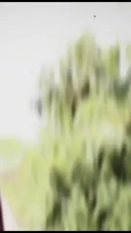 @🫶🫶সুখ পাখি 🫶🫶 @🌿🍒 bertho nari 🍒🌿 @🧃_তোমাগো 𝑺𝒊𝒏𝒈𝒍𝒆 আফা_🧃 