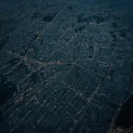 Cat’s mood   #cat #catmeme #middlefingermood #animalsoftiktok #viral