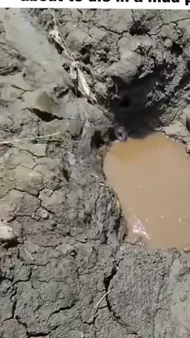 #chia xẻ cuộc sống hàng ngày #xuhuongtiktok 