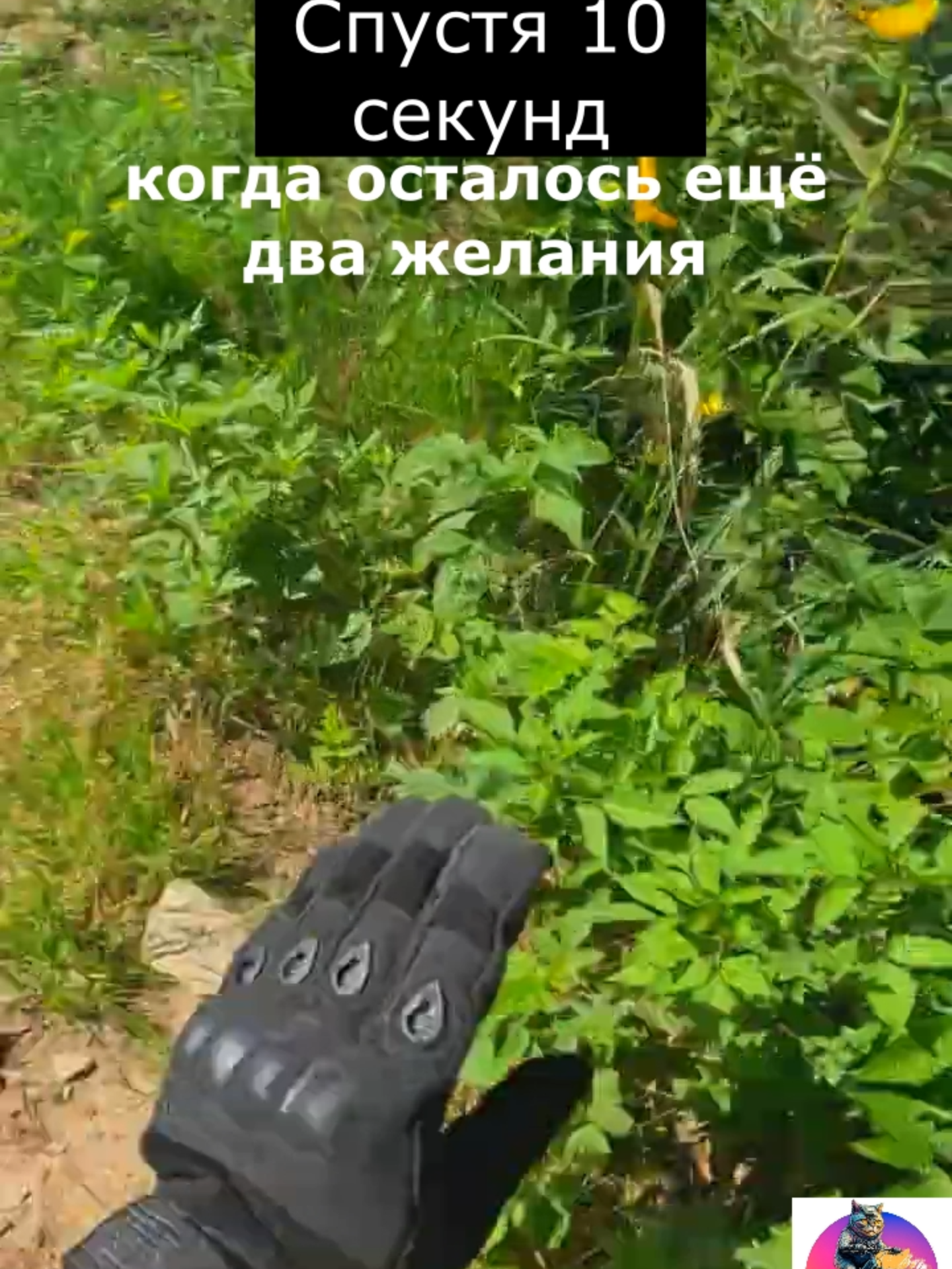 Чтобы жизнь малиной казалась #mtb #malina