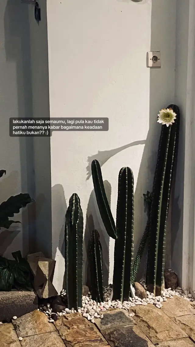 lebih baik aku diam, diam diam cinta sendirian🙂 #quotestory #katakatabijak #moveon #galaubrutal #fyp 