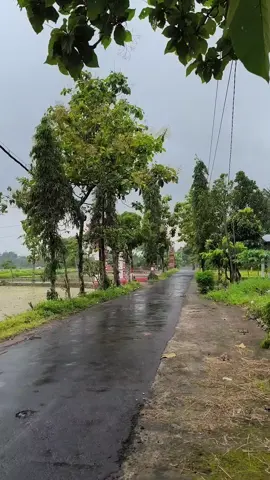 vibes setelah hujan di desa yang indah 🙌 #xzyabc #bahanswmu #gwsmlovers👹 #gwsm #fansgwsm 