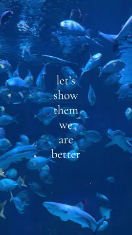 #paris #thechainsmorkers 