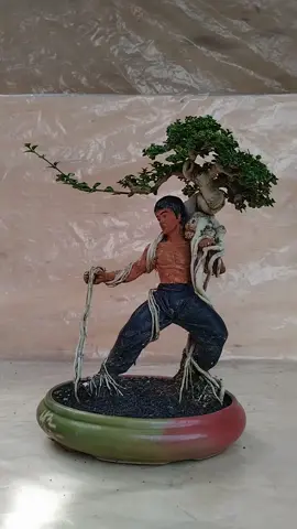 #probolinggo_jawatimur  #BONSAIINDINESIA  #SANCANG 