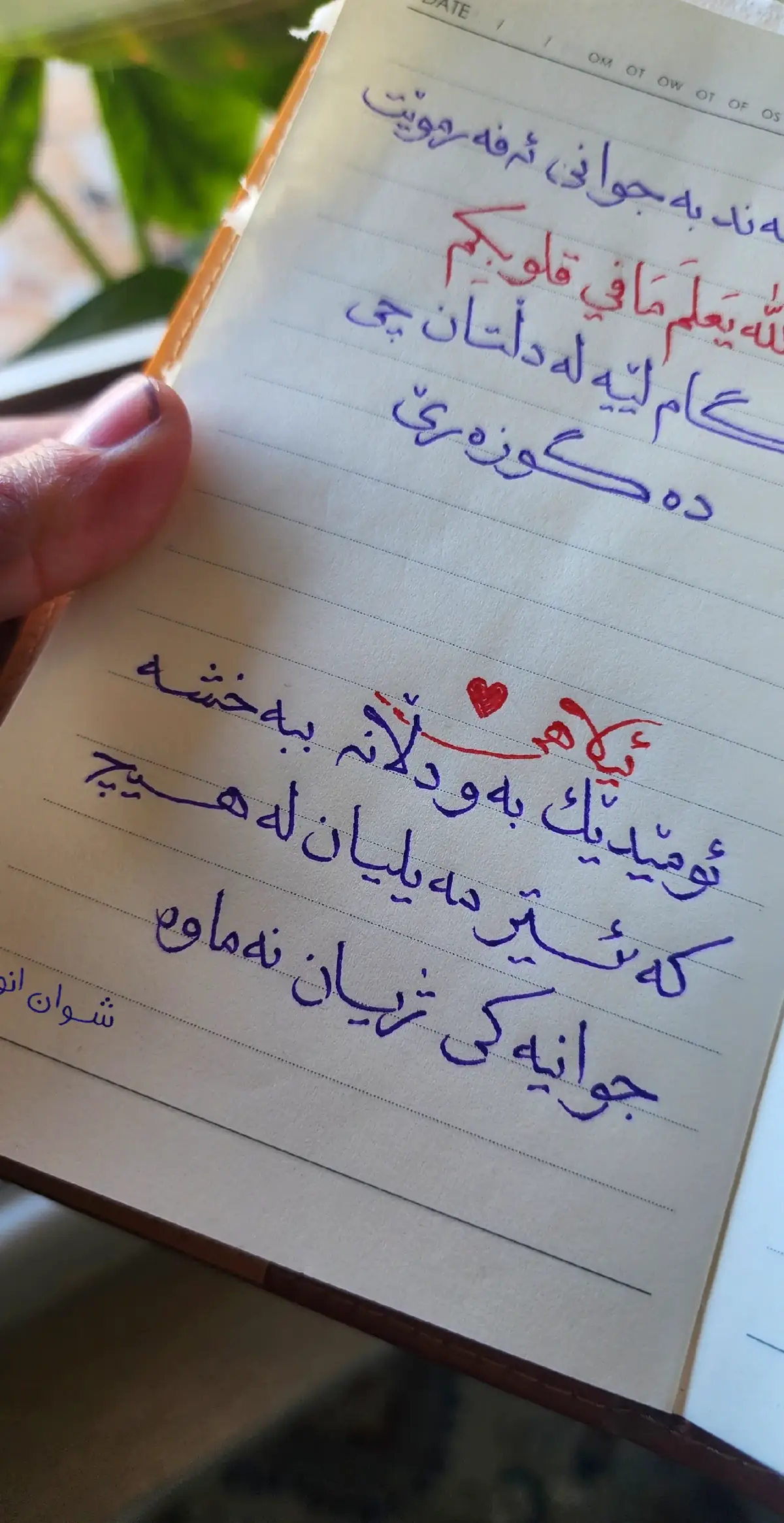 ئیلاهی  ئومێدێک بەو دڵانە ببەخشە کە ئیتر مەیلیان لە هیچ جوانیەکی ژیان نەماوە.