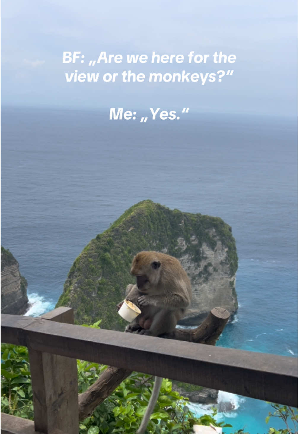 came for the view… but the monkey stole the spotlight.🍦👀 #kelingkingbeach #bali #monkey #viewpoint #balivibes 