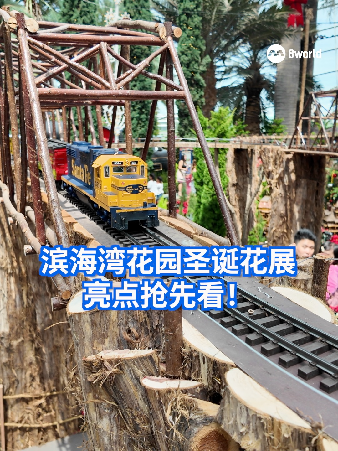 “滨海湾花园圣诞列车之旅”（Gardens by the Bay Christmas Train Show）圣诞花展今天起（23日）正式开幕，今年活动也配合建国60周年（SG60），加入了迷你地铁、鱼尾狮、龙头游乐场等的模型，展现浓厚新加坡元素。 #sgnews #singapore #christmas #gardensbythebay  Auto translation might not be accurate. Click to see original.