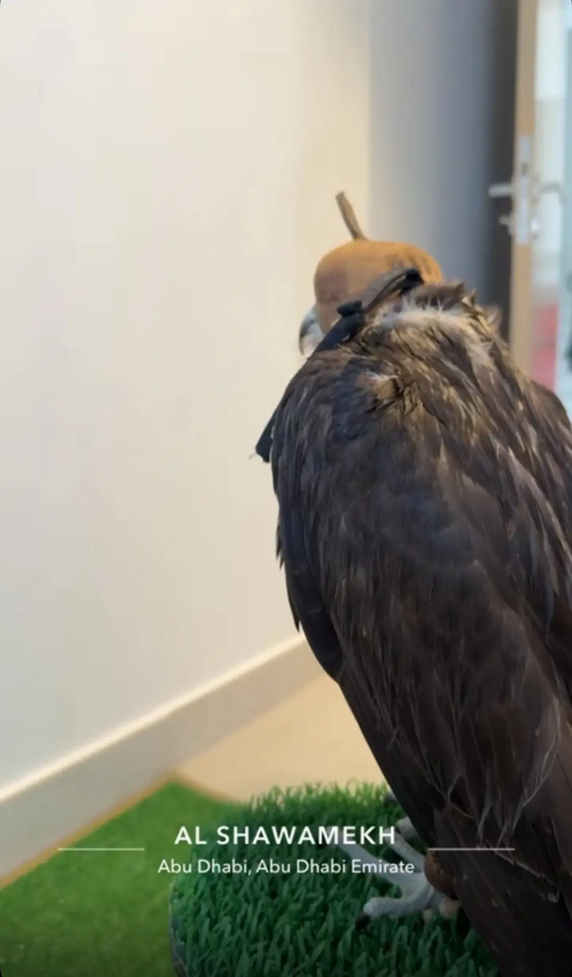 #لايكات #استغفرالله #capcut #foryou 