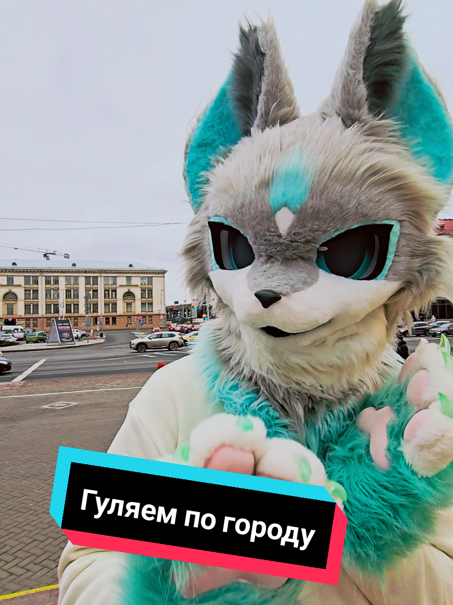Лис выбрался погулять по городу. #фурри #фурсьют #минск #прогулка #зеркало 
