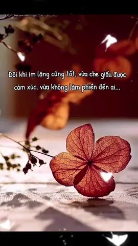 “Người ở trong tim, làm sao nói quên là quên được Người đã động lòng làm sao nói bỏ là bỏ được Phận đời còn lại, gặp hay không gặp, đều ở trong tim…”