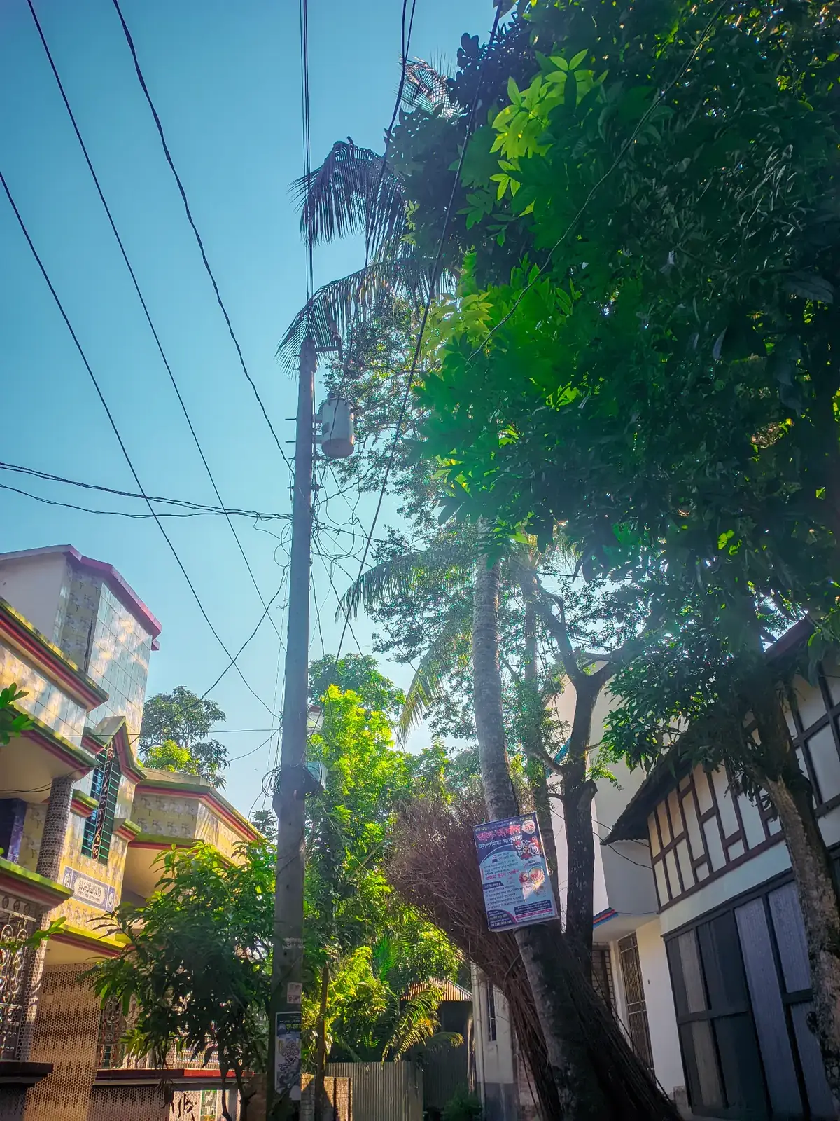 #প্রাকৃতিক_সৌন্দর্য❤️🌞❤️🥀🌹🤘 #প্রাকৃতিক_সৌন্দর্য❤️🌞❤️🥀🌹🤘 #ক_সৌন্দর্য❤️🌞❤️🥀🌹🤘 