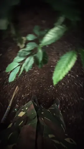 Lúc ta không kỳ vọng nhất lại là lúc mọi thứ thuận lợi nhất…khi đầy đủ cái gì đến sẽ đến…khi hết bụi trong mắt,tự khắc sẽ thấy dõ đường đi 🥰. #81gialai #xuhuongtiktok #fypシ゚ #viraltiktok 