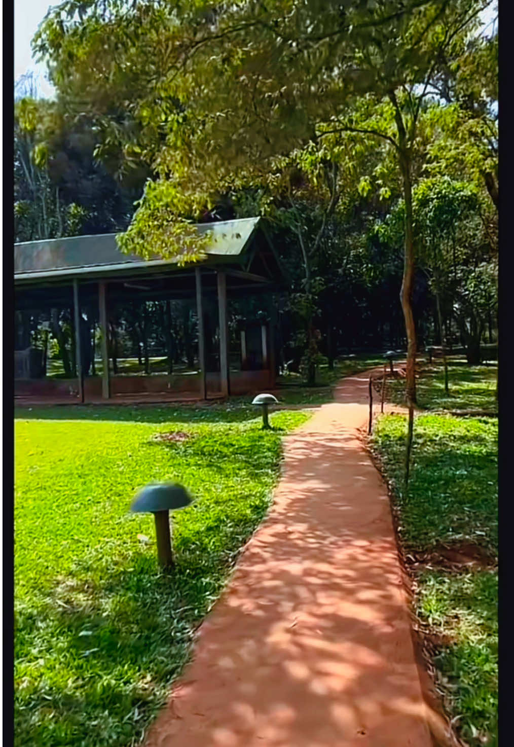 2026 Maxaa kuu qorsheeysan. ?  🦅Not everything deserves your energy. Fly higher.🦅 #foreverbillan 