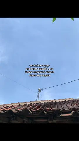 #4upage #fyp #berandafyp #4u 